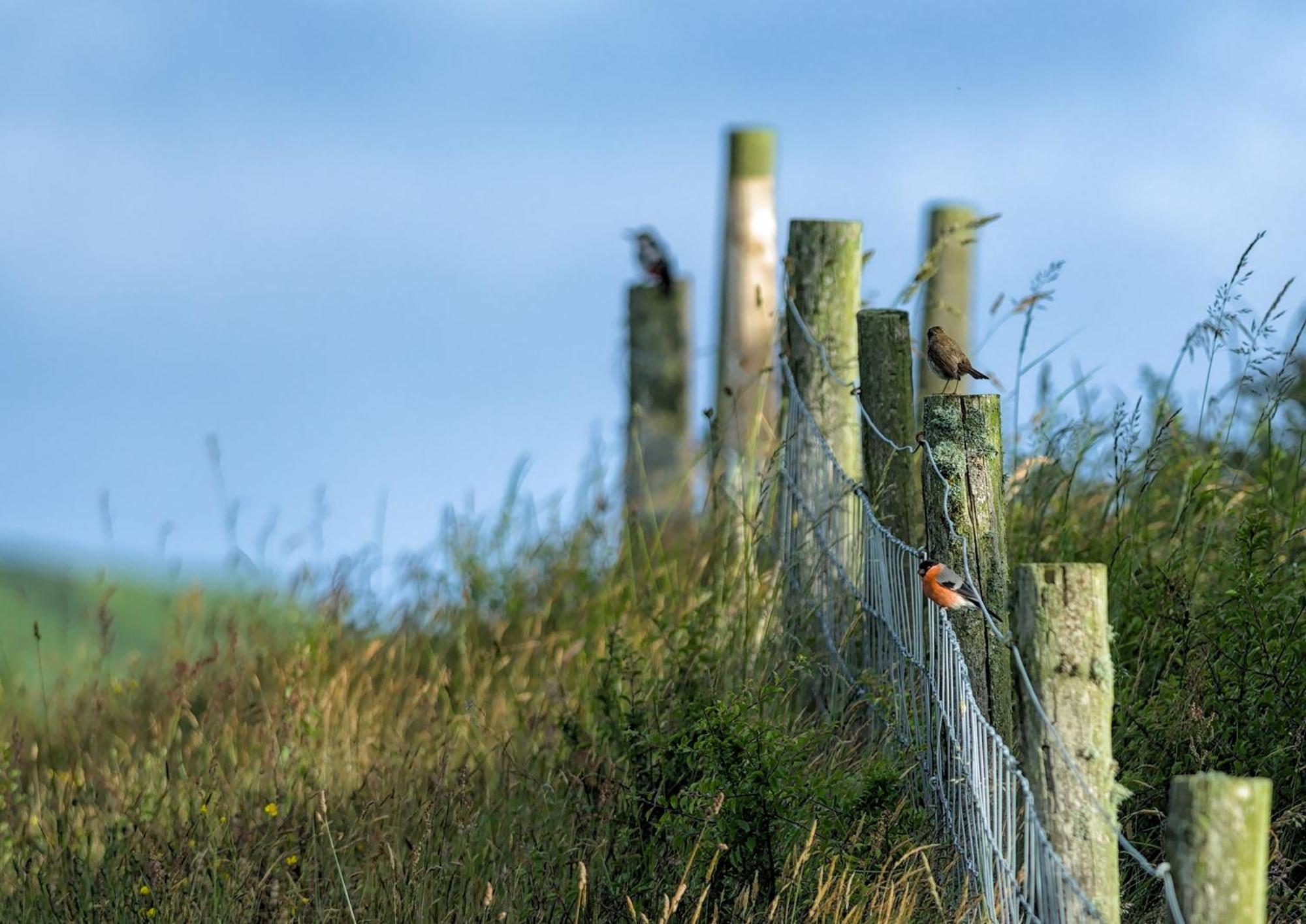 The Workshop- Eco By The Coastal Path * Goodwick