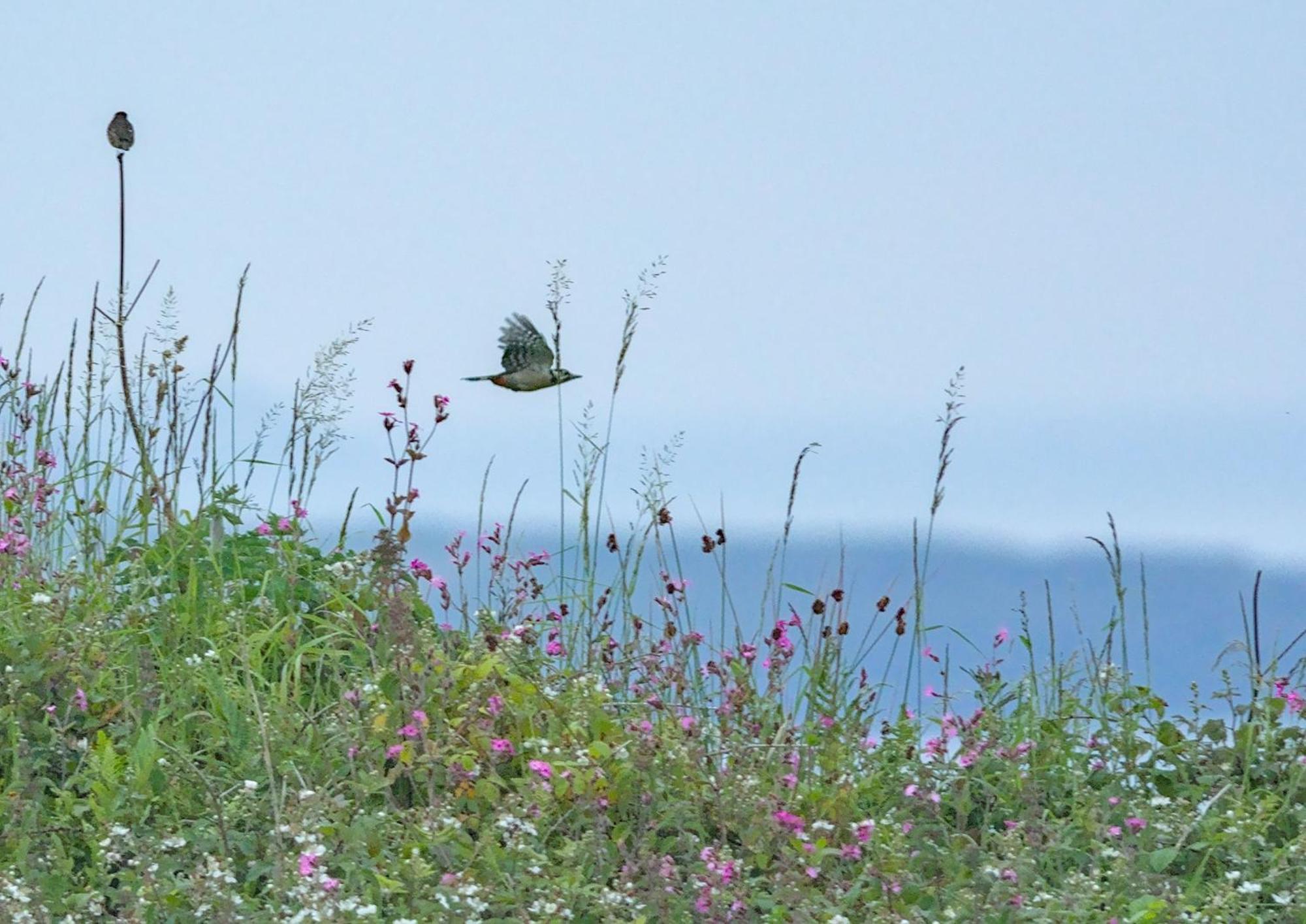 Holiday home The Workshop- Eco By The Coastal Path
