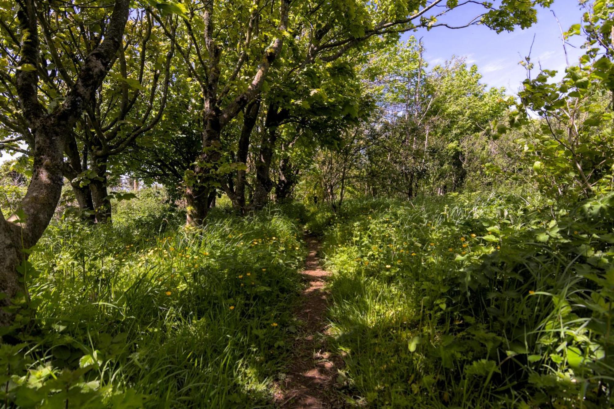 The Workshop- Eco By The Coastal Path Goodwick