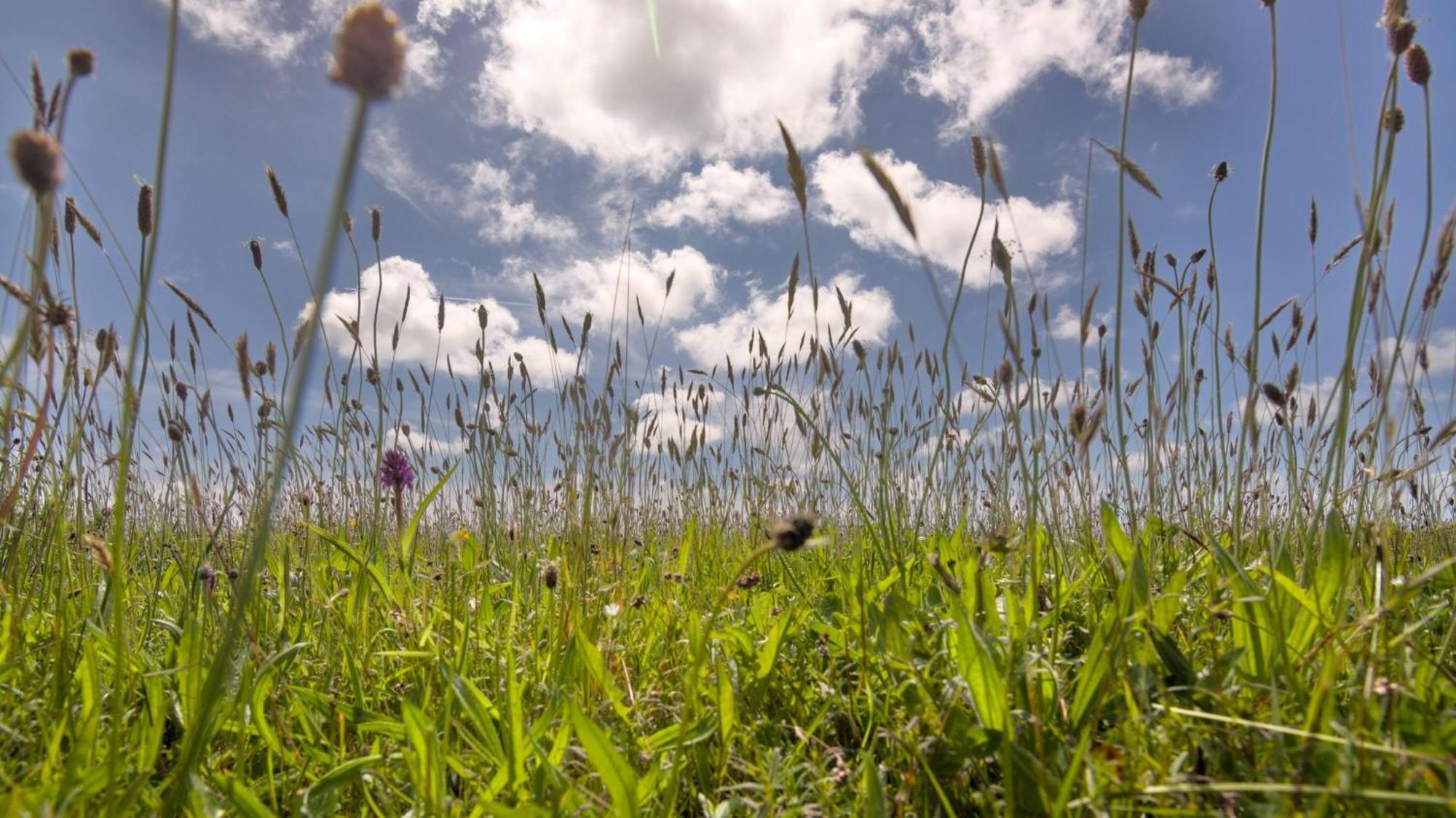 The Workshop- Eco By The Coastal Path * Goodwick